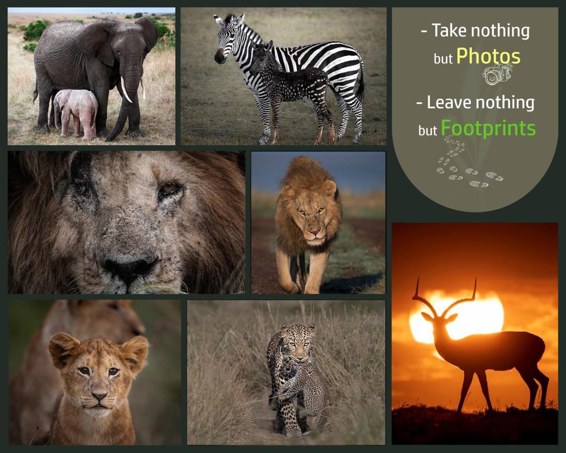 Отель Talek Bush Camp , Masai Mara Экстерьер фото