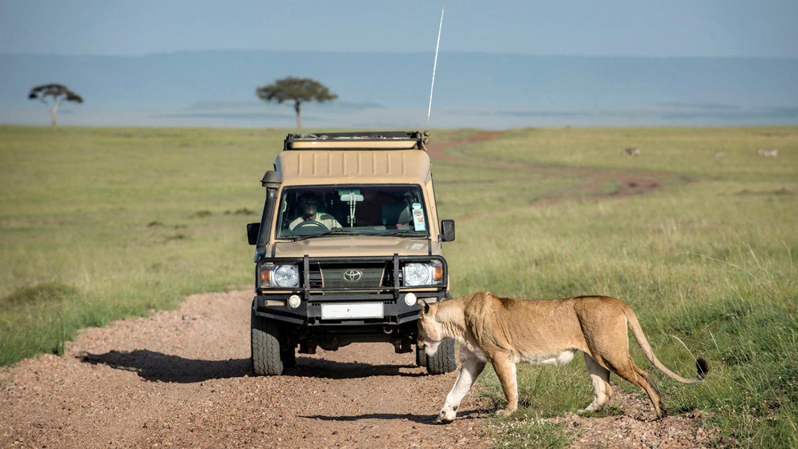 Отель Talek Bush Camp , Masai Mara Экстерьер фото